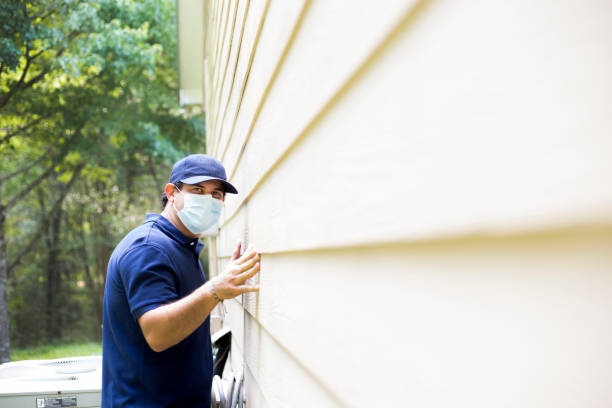 Best Custom Trim and Detailing for Siding  in USA